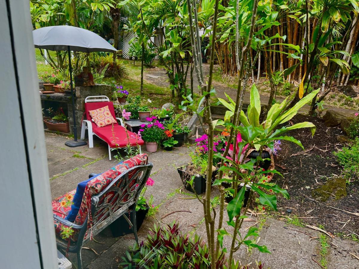 Hawi Guest House المظهر الخارجي الصورة