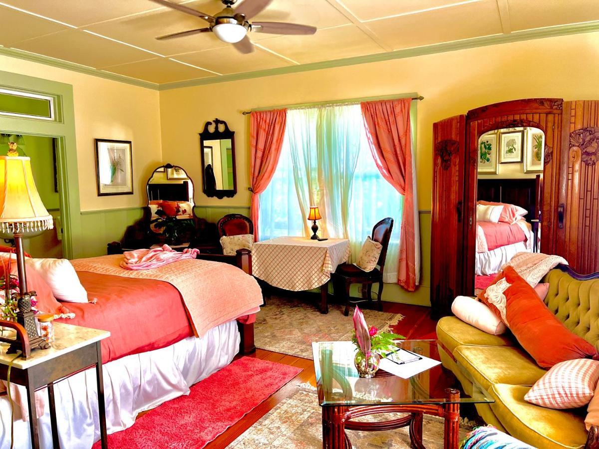 Hawi Guest House المظهر الخارجي الصورة